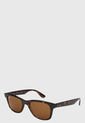 Gafas Marrón Ray-Ban de Ray-Ban
