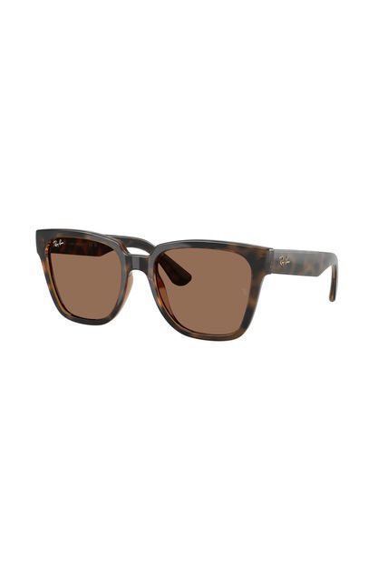 Gafas De Sol RB4437 Havana Oscuro Ray-Ban