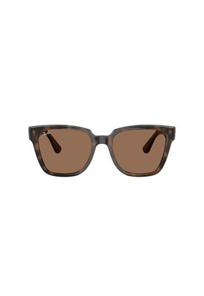 Gafas De Sol Ray-Ban RB4437 L71073