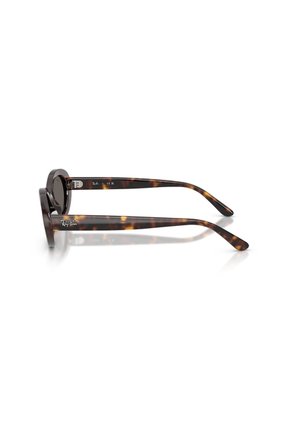Gafas De Sol Ray-Ban RB2223 Tipo Carey Mujer