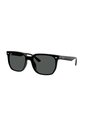 Gafas De Sol Ray-Ban RB4466D RB4466 Negro Hombre Y Mujer de Rayban