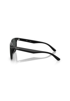 Gafas De Sol Ray-Ban RB4466D RB4466 Negro Hombre Y Mujer