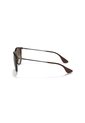 Gafas De Sol Ray-Ban Erika RB4171 Marrón Hombre Y Mujer de Rayban