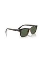 Gafas De Sol Ray-Ban RB4448 Marrón Hombre Y Mujer de Rayban