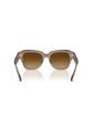 Gafas De Sol Ray-Ban State Street RB2186 Marrón Hombre Y Mujer de Rayban