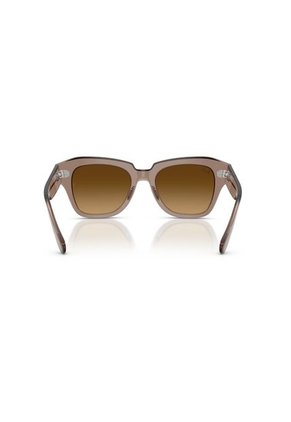 Gafas De Sol Ray-Ban State Street RB2186 Marrón Hombre Y Mujer