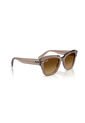 Gafas De Sol Ray-Ban State Street RB2186 Marrón Hombre Y Mujer de Rayban