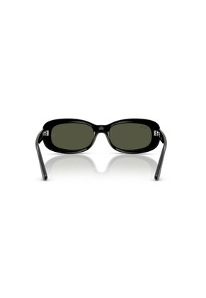Gafas De Sol Ray-Ban RB2221 Negro Mujer