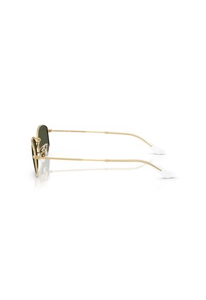 Gafas De Sol Ray-Ban RB3832 Dorado Hombre Y Mujer
