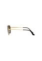 Gafas De Sol Ray-Ban The Marshal Ii RB3648 Dorado Hombre Y Mujer de Rayban