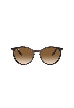Gafas De Sol Ray-Ban RB2204 90251