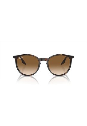 Gafas De Sol Ray-Ban RB2204 90251