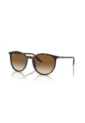Gafas De Sol Ray-Ban RB2204 90251