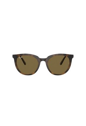 Gafas De Sol Ray-Ban RB4383 L71073