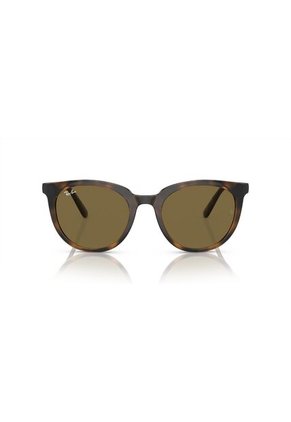 Gafas De Sol Ray-Ban RB4383 L71073