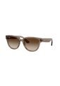 Gafas De Sol Ray-Ban RB4463L RB4463 Marrón Mujer de Rayban