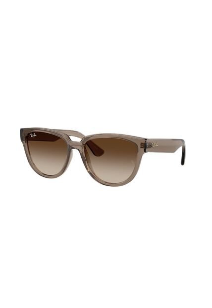 Gafas De Sol Ray-Ban RB4463L RB4463 Marrón Mujer