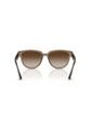 Gafas De Sol Ray-Ban RB4463L RB4463 Marrón Mujer de Rayban