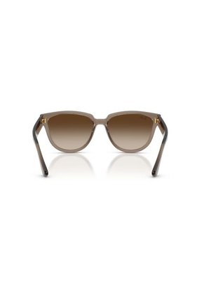 Gafas De Sol Ray-Ban RB4463L RB4463 Marrón Mujer