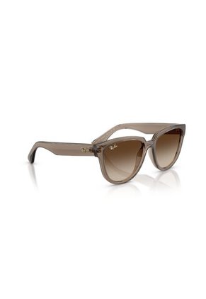 Gafas De Sol Ray-Ban RB4463L RB4463 Marrón Mujer