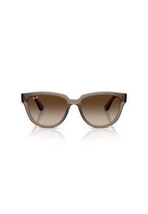 Gafas De Sol Ray-Ban RB4463L RB4463 Marrón Mujer