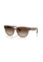 Gafas De Sol Ray-Ban RB4463L RB4463 Marrón Mujer de Rayban