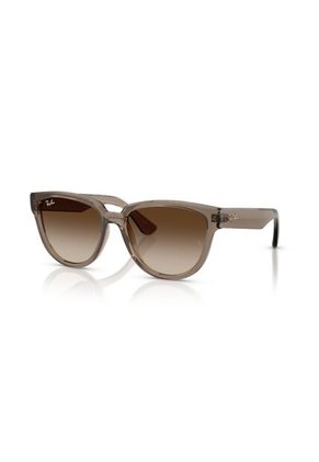 Gafas De Sol Ray-Ban RB4463L RB4463 Marrón Mujer