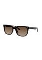 Gafas De Sol Ray-Ban RB4466D RB4466 Marrón Hombre Y Mujer de Rayban