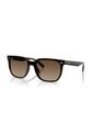 Gafas De Sol Ray-Ban RB4466D RB4466 Marrón Hombre Y Mujer de Rayban