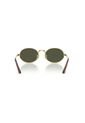 Gafas De Sol Ray-Ban RB3931 Dorado Hombre Y Mujer ASAP Rocky de Rayban