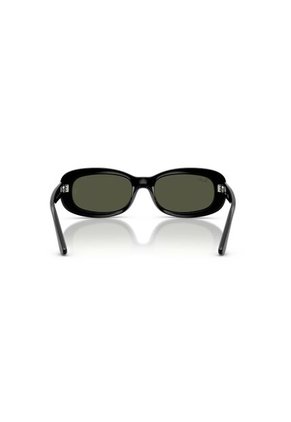 Gafas De Sol Ray-Ban RB2221 Negro Mujer