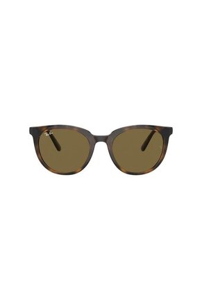 Gafas De Sol Ray-Ban RB4383 Marrón Mujer