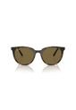 Gafas De Sol Ray-Ban RB4383 Marrón Mujer de Rayban