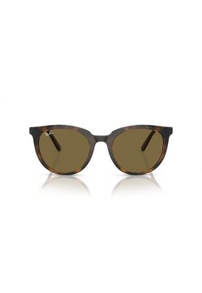 Gafas De Sol Ray-Ban RB4383 Marrón Mujer