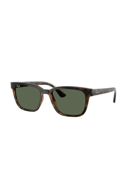 Gafas De Sol Ray-Ban RB4448
