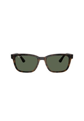 Gafas De Sol Ray-Ban RB4448 L71071