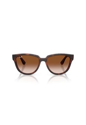 Gafas De Sol Ray-Ban RB4463L RB4463 Marrón Mujer