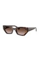 Gafas De Sol Ray-Ban Zena RB4430 Marrón Hombre Y Mujer Degradé de Rayban