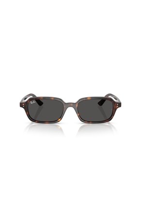 Gafas De Sol Ray-Ban Zuri RB4455 Marrón Hombre Y Mujer
