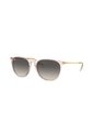 Gafas De Sol Ray-Ban Erika RB4171 Rosa Mujer de Rayban