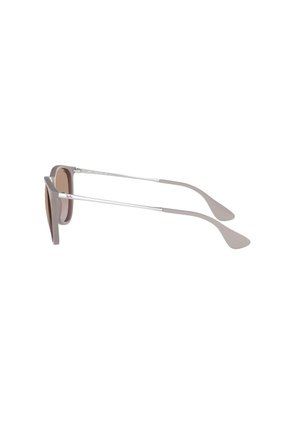Gafas De Sol Ray-Ban Erika RB4171 Marrón Hombre Y Mujer
