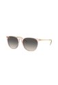 Gafas De Sol Ray-Ban Erika RB4171 Rosa Mujer de Rayban