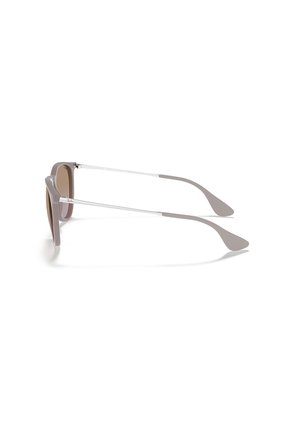 Gafas De Sol Ray-Ban Erika RB4171 Marrón Hombre Y Mujer