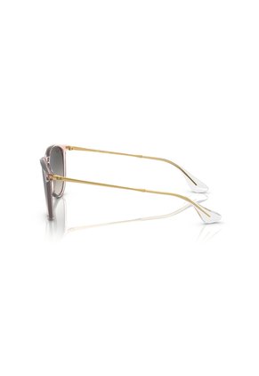 Gafas De Sol Ray-Ban Erika RB4171 Rosa Mujer