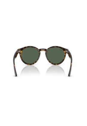 Gafas De Sol Ray-Ban RBR0505S RBR050 Habana Hombre Y Mujer