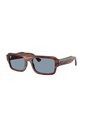 Gafas De Sol Ray-Ban Lukas RB4454 Marrón Hombre Y Mujer de Rayban