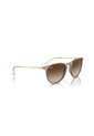 Gafas De Sol Ray-Ban Erika RB4171 Beige Mujer de Rayban