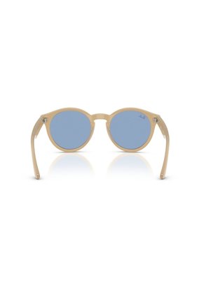 Gafas De Sol Ray-Ban RBR0505S RBR050 Marrón Hombre Y Mujer