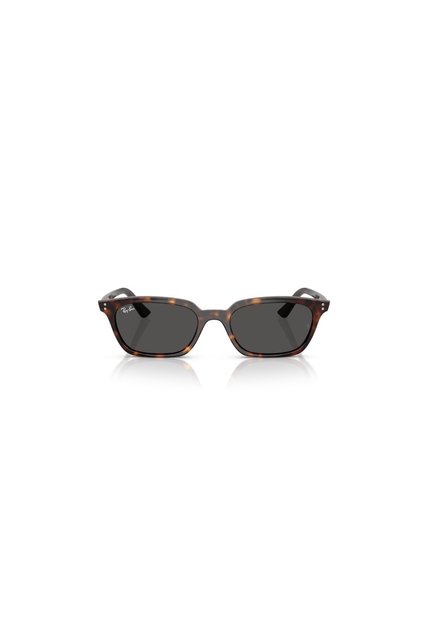 Gafas De Sol Ray-Ban Zaya RB4456 Habana Hombre Y Mujer