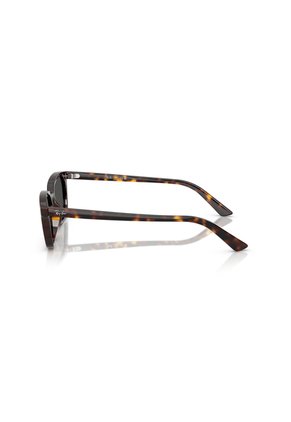 Gafas De Sol Ray-Ban Zaya RB4456 Habana Hombre Y Mujer